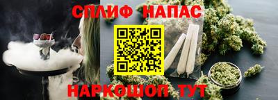 гидра Мариинск