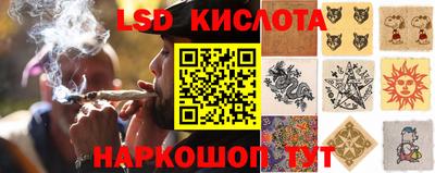 PSILOCYBIN Малоярославец