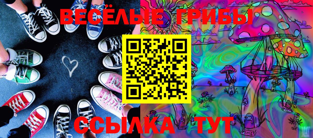 Галлюциногенные грибы Psilocybe Дубна